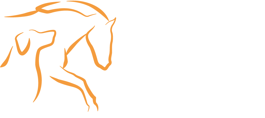 Physiotherapie & Osteopathie für Hunde & Pferde